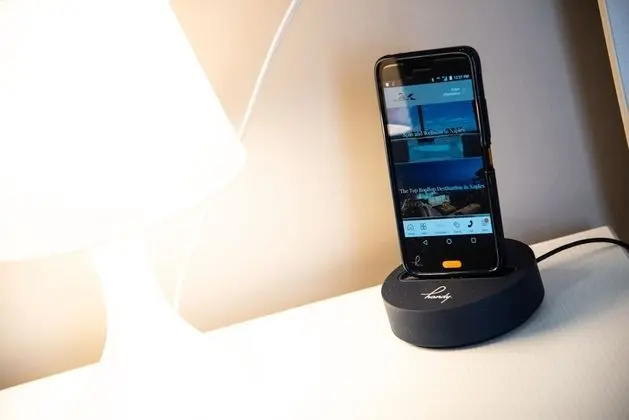 Superior Tek Büyük Yataklı Oda, 1 Çift Kişilik Yatak, Küvet, Şehir Manzaralı