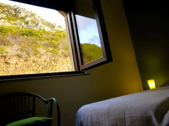 Standard Tek Büyük Yataklı Oda, Özel Banyo