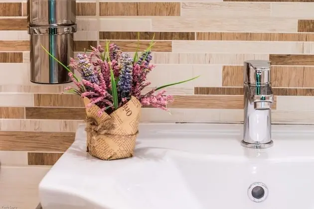 Deluxe Tek Büyük Yataklı Oda, 1 Büyük (Queen) Boy Yatak, Özel Banyo