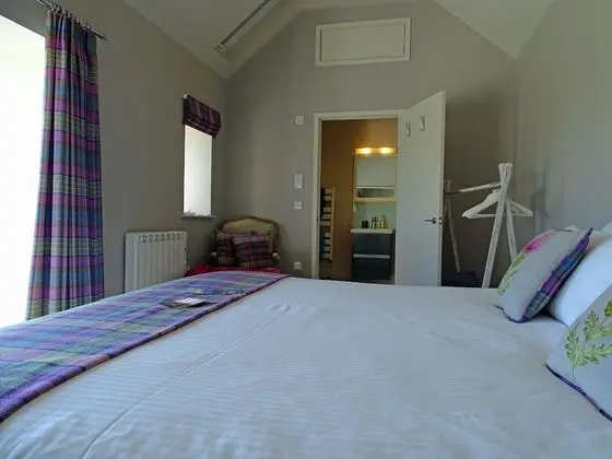 Deluxe Tek Büyük Yataklı Oda, 1 En Büyük (King) Boy Yatak