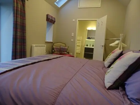 Deluxe Tek Büyük Yataklı Oda, 1 En Büyük (King) Boy Yatak