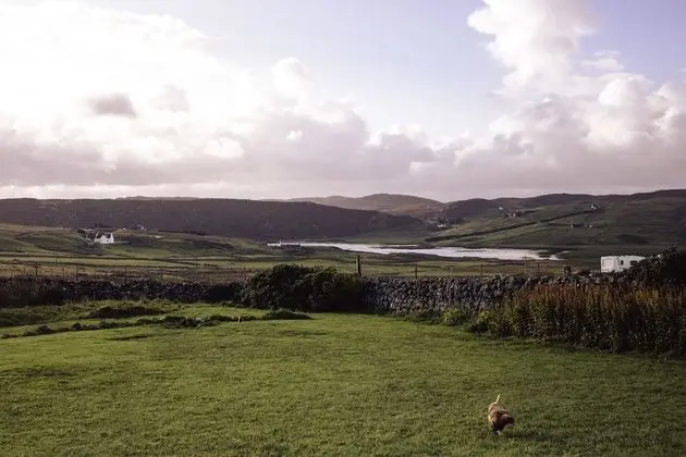 Deluxe Tek Büyük Yataklı Oda, 1 En Büyük (King) Boy Yatak