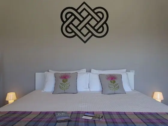 Deluxe Tek Büyük Yataklı Oda, 1 En Büyük (King) Boy Yatak