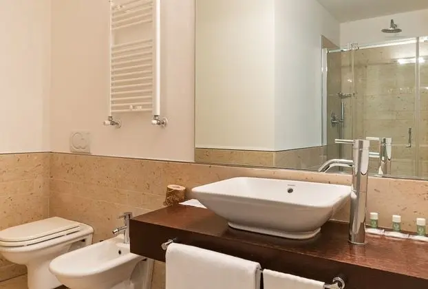 Superior Tek Büyük Yataklı Oda, Sigara İçilmez