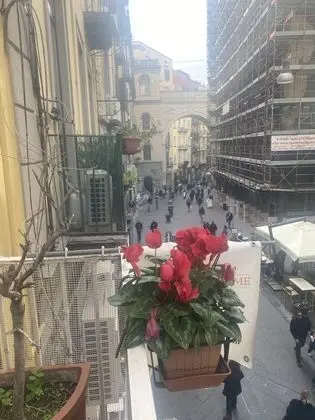 Superior Tek Büyük Yataklı Oda, Banyolu/Duşlu