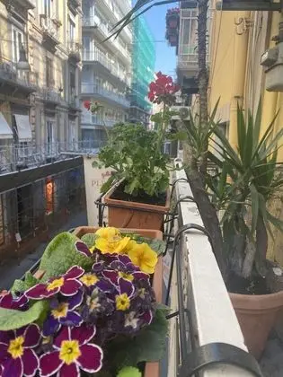 Superior Tek Büyük Yataklı Oda, Banyolu/Duşlu