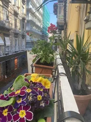 Tek Büyük Yataklı Oda, Balkon (With external bathroom)