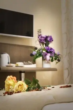 Superior Tek Büyük Yataklı Oda, Balkon