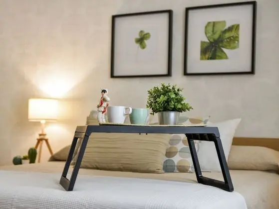 Superior Tek Büyük Yataklı Oda