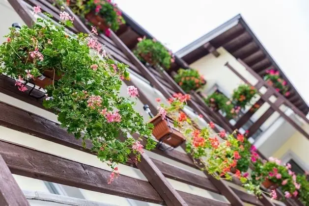 Panoramic Tek Büyük Yataklı Oda, 1 En Büyük (King) Boy Yatak, Dağ Manzaralı