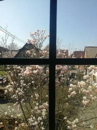 Tek Büyük Yataklı Oda (La Coursive)