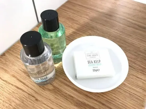 Tek Büyük Yataklı Oda (Berkenbosch)