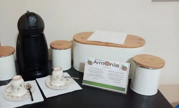 Executive Tek Büyük veya İki Ayrı Yataklı Oda, 1 Yatak Odası, Ortak Banyo (Camera Sassi)