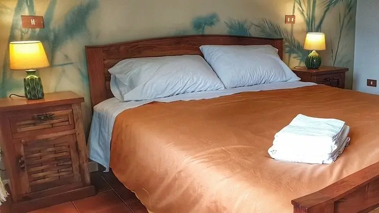 Tek Büyük Yataklı Oda (Tropical)