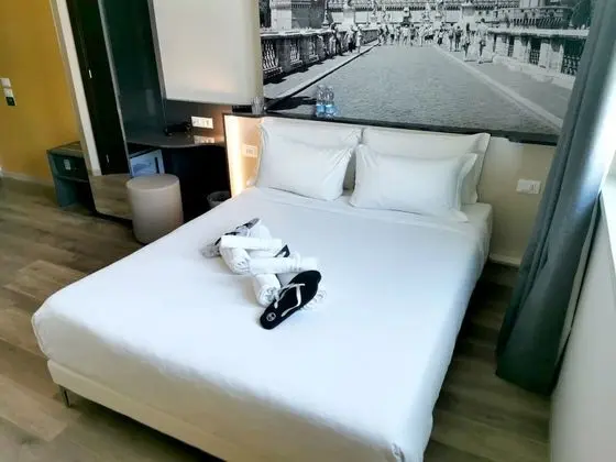 Superior Tek Büyük Yataklı Oda, Sigara İçilmez