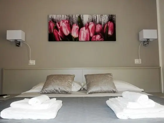 Superior Tek Büyük veya İki Ayrı Yataklı Oda, Teras, Şehir Manzaralı