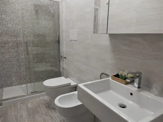 Superior Tek Büyük veya İki Ayrı Yataklı Oda, Teras, Şehir Manzaralı