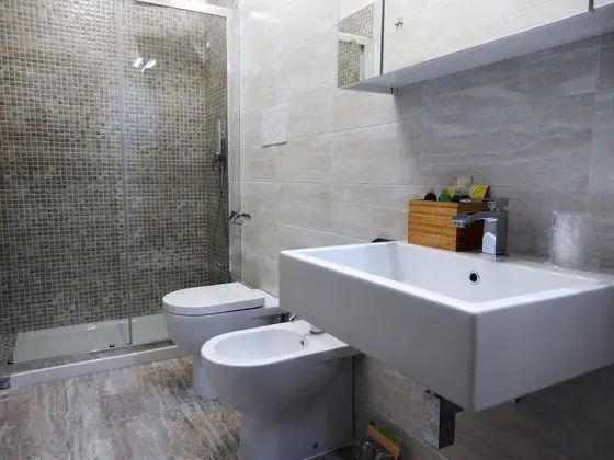 Superior Tek Büyük veya İki Ayrı Yataklı Oda, Teras, Şehir Manzaralı