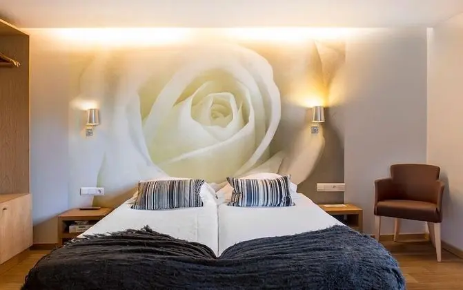 Comfort Tek Büyük veya İki Ayrı Yataklı Oda, Park Manzaralı, Ek Bina
