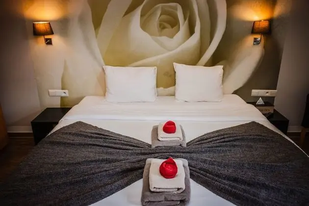Comfort Tek Büyük veya İki Ayrı Yataklı Oda, Park Manzaralı, Ek Bina