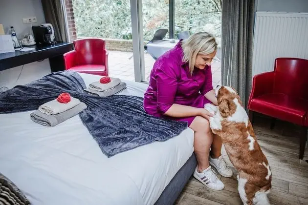 Comfort Tek Büyük veya İki Ayrı Yataklı Oda, Park Manzaralı, Ek Bina