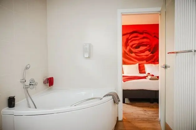 Comfort Tek Büyük veya İki Ayrı Yataklı Oda, Park Manzaralı, Ek Bina