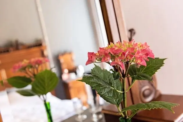 Deluxe Tek Büyük veya İki Ayrı Yataklı Oda