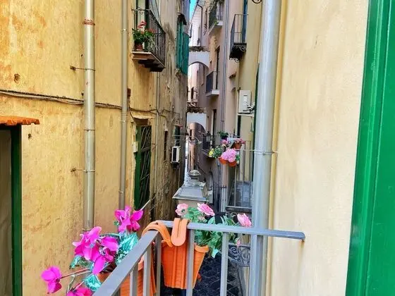 Superior Dört Kişilik Oda