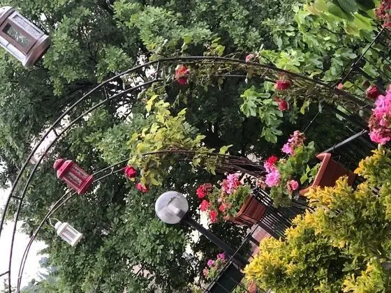 Tek Büyük Yataklı Oda, Banyolu/Duşlu