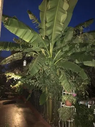 Tek Büyük Yataklı Oda, Banyolu/Duşlu