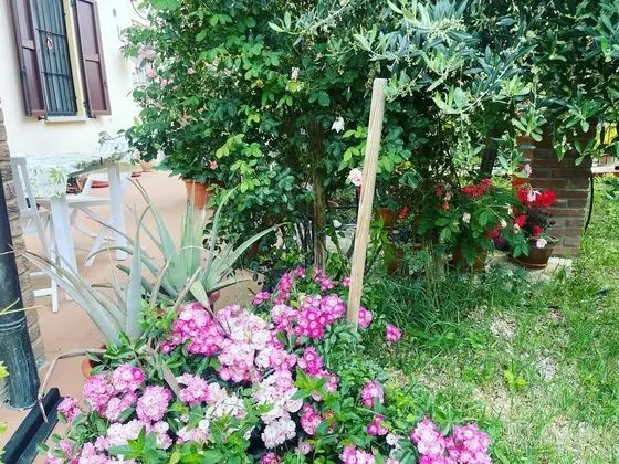 Tek Büyük Yataklı Oda, Banyolu/Duşlu