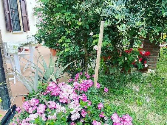 Tek Büyük Yataklı Oda, Banyolu/Duşlu, Dağ Manzaralı