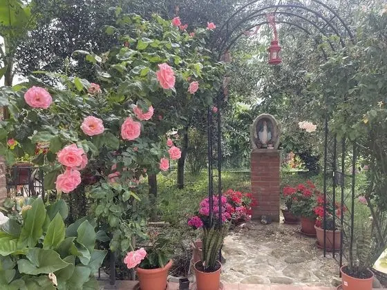 Tek Büyük Yataklı Oda, Banyolu/Duşlu, Dağ Manzaralı