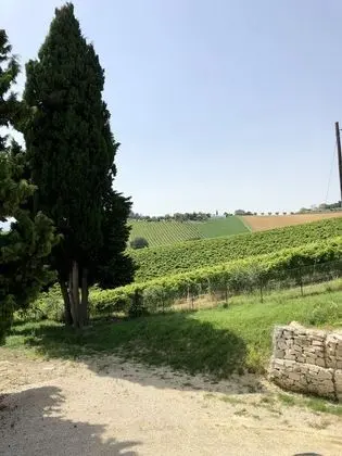 Tek Büyük Yataklı Oda, Bahçe Manzaralı