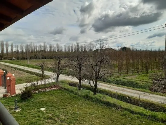 Deluxe Büyük Yataklı Tek Kişilik Oda, 1 Çift Kişilik Yatak, Veranda, Bahçe Manzaralı