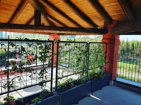 Traditional Tek Büyük veya İki Ayrı Yataklı Oda, Balkon, Bahçe Manzaralı