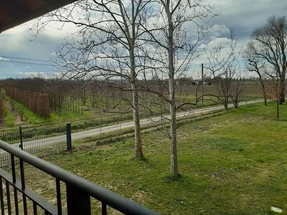 Traditional Tek Büyük veya İki Ayrı Yataklı Oda, Balkon, Bahçe Manzaralı