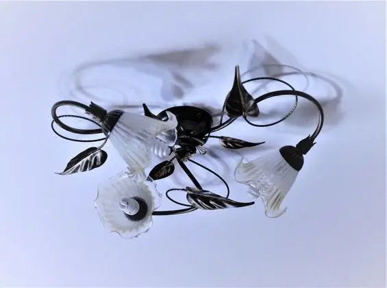 Comfort Tek Büyük Yataklı Oda, Birden Çok Yatak, Ortak Banyo, Bahçe Manzaralı