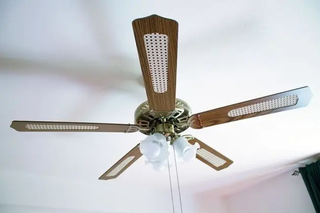 Deluxe Tek Büyük Yataklı Oda, 1 Büyük (Queen) Boy Yatak, Ortak Banyo, Bahçe Manzaralı