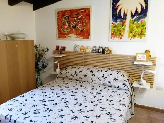 Superior Tek Büyük Yataklı Oda, Özel Banyo, Bahçe Manzaralı