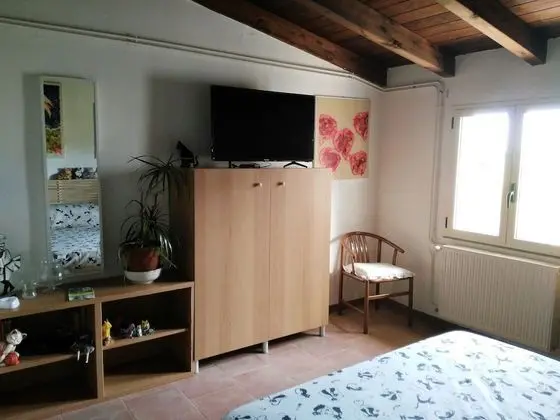 Superior Tek Büyük Yataklı Oda, Özel Banyo, Bahçe Manzaralı