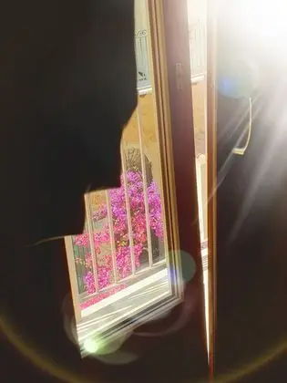 Superior Oda, 1 Yatak Odası, Banyolu/Duşlu