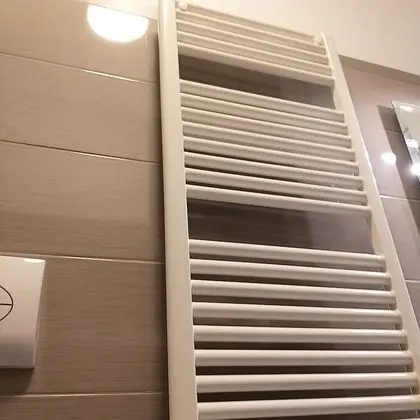 Superior Oda, 1 Yatak Odası, Banyolu/Duşlu