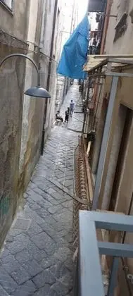 Deluxe Tek Büyük Yataklı Oda, Balkon, Şehir Manzaralı