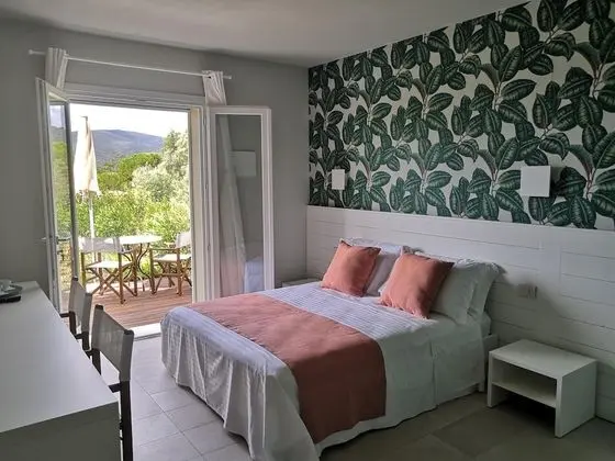 Classic Tek Büyük veya İki Ayrı Yataklı Oda (Pianosa)