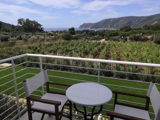 Classic Tek Büyük veya İki Ayrı Yataklı Oda (Pianosa)