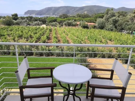 Classic Tek Büyük veya İki Ayrı Yataklı Oda (Pianosa)