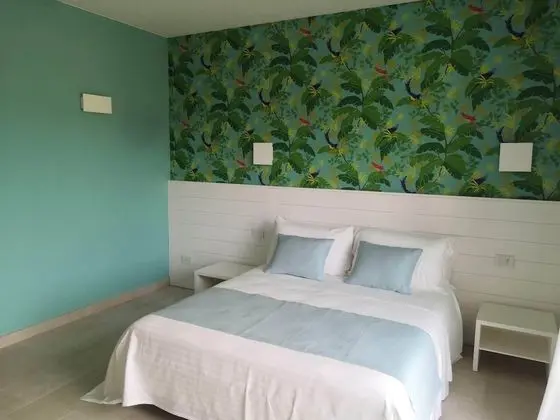 Deluxe Tek Büyük veya İki Ayrı Yataklı Oda (Montecristo)