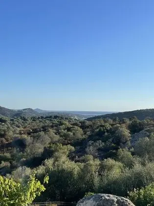 Tek Büyük Yataklı Oda, Bahçe Manzaralı