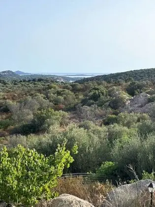 Tek Büyük Yataklı Oda, Bahçe Manzaralı